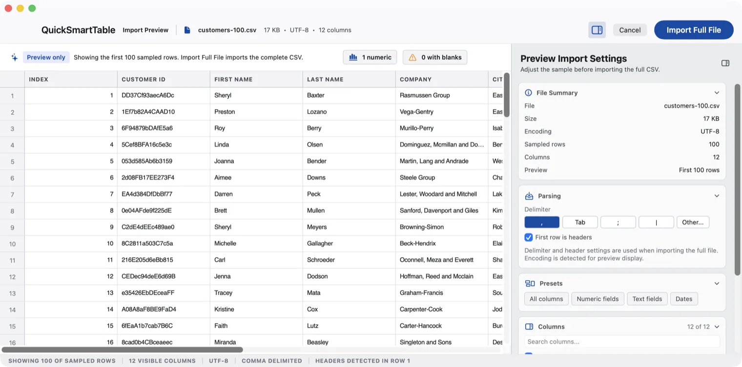 The import preview showing detected delimiter, encoding, sampled rows and column count before the full file loads